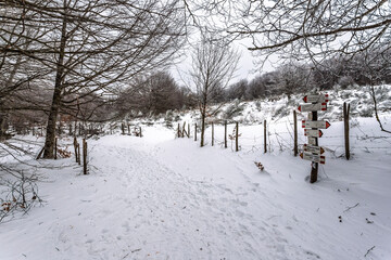 Winter landscape at Fumaiolo mount, Emilia-Romagna, Italy