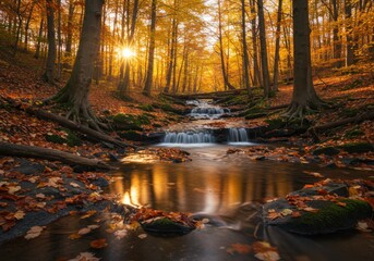 Obraz premium Autumn forest scene, golden sunlight filtering through trees, small cascading waterfall, reflective stream, fallen leaves, mossy rocks, vibrant fall colors, warm orange tones, tranquil woodland atmosp