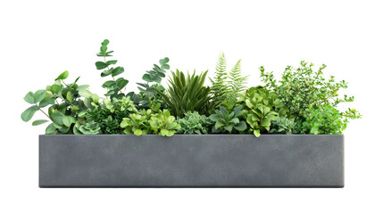 modern planter box with plants isolated on white background, 