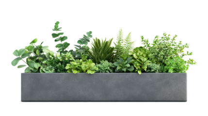 modern planter box with plants isolated on white background, 