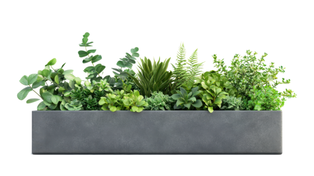 modern planter box with plants isolated on white background, 