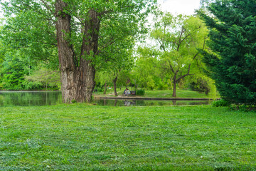 Summer colors in the Botanical Garden of Bucharest