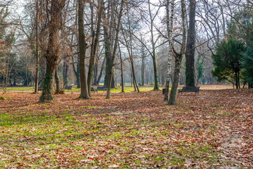 Fototapeta premium Autumn colors in the Botanical Garden of Bucharest