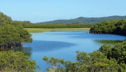 Serene Coastal Lagoon Lush Green Mangroves Tranquil Water Summer Nature Scene