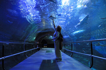 mujer mirando un pez manta raya en el tunel del aquarium de donostia san sebastian 4M0A4812-as25