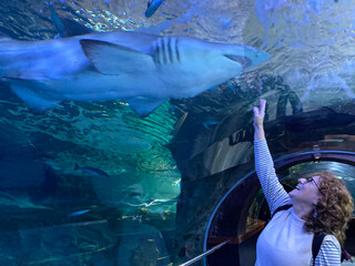 mujer mirando un tiburón en el tunel del aquarium de donostia san sebastian IMG_9390-as25
