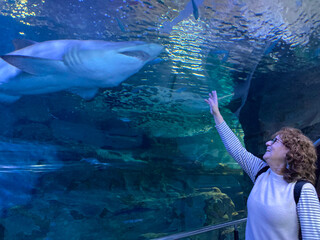 Fototapeta premium mujer mirando un tiburón en el tunel del aquarium de donostia san sebastian IMG_9404-as25