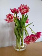 Pink and red tulips in the vase 