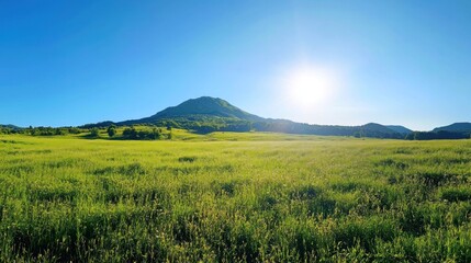 Fototapeta premium Sunny day, green meadow, mountain landscape.