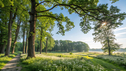 Pictures of beautiful landscapes