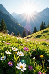 Fototapeta premium Lush alpine wildflowers and grasses in the sun, garden, sunlight