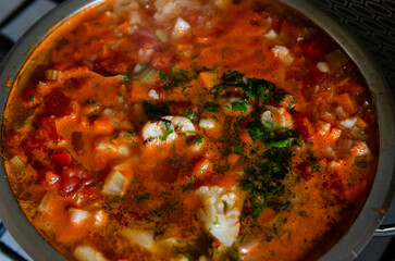 Russian tomato vegetable soup with cauliflower