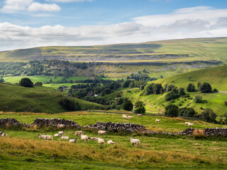 Yorkshire Dales scenes in Summer