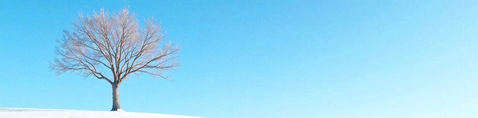 Obraz premium Bare tree with bare branches against a clear blue sky, minimalist decor, clear blue, winter landscape