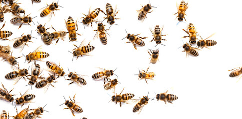 A swarm of bees flying in unison, captured in motion against a white background
