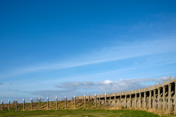 Obraz premium Schokland haven, Flevoland province, The Netherlands