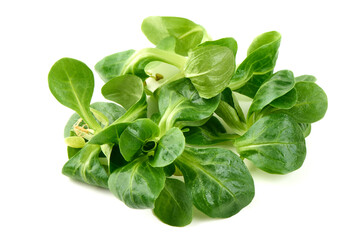 Fresh Lamb's Lettuce, isolated on white background.