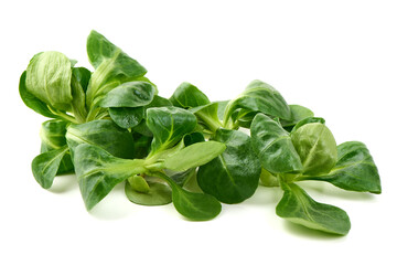 Fresh Lamb's Lettuce, isolated on white background.