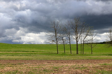 Obraz premium Stormy rural landscape.