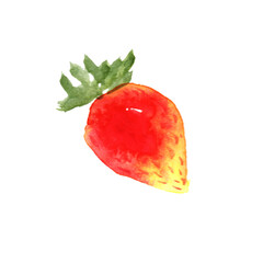 Watercolor vector strawberry on white background