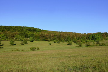 Obraz premium Beautiful spring landscape with bright colors.