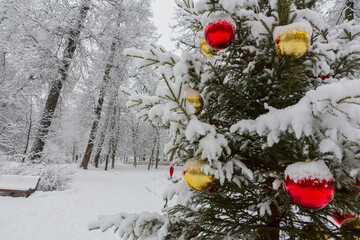 Christmas tree in the winter park. Balls in the snow on a snow-covered Christmas tree