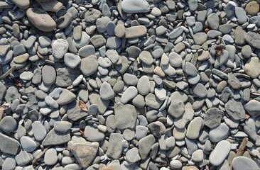 graphic resource of pebble beach close-up full frame, rounded stones of sea coast of gray shade in sunlight as natural background texture