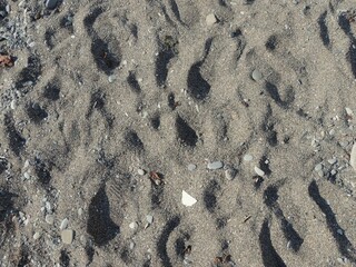 dark fine grey sand in sunlight with sea pebbles as natural grain texture, sandy material with pits, drifts and stones as background