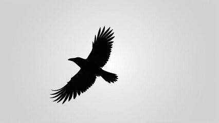 Fototapeta premium Black silhouette of a flying crow with outstretched wings and sharp claws.