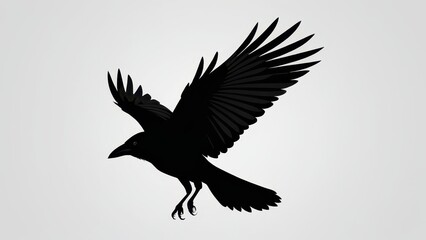 Elegant flying crow silhouette with wings spread wide, perfect for bird art.