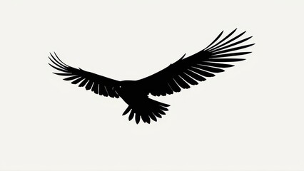 Obraz premium A strong and bold bird silhouette with detailed wings spread wide, symbolizing freedom.
