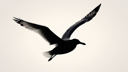 Artistic silhouette of a seagull mid-flight, showcasing detailed feathers and wings.