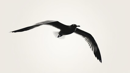 Fototapeta premium Dynamic seagull silhouette soaring through the air, perfect for nature art themes.