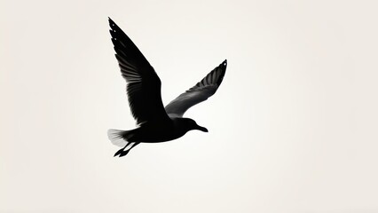 Obraz premium Silhouette of a soaring seagull with graceful wings, ideal for minimalistic wildlife designs.