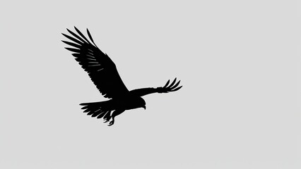 Fototapeta premium Majestic eagle silhouette soaring with outstretched wings, perfect for nature themes.