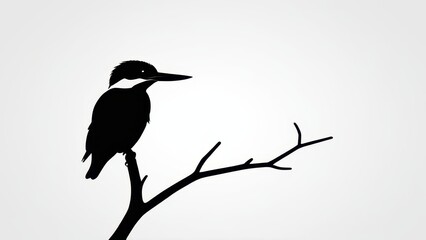 Elegant kingfisher silhouette with a sharp beak and slender body on a branch.