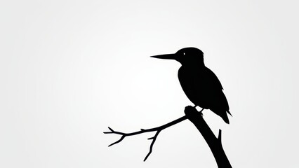 Fototapeta premium Kingfisher perched on a branch, depicted as a black silhouette against a white background.