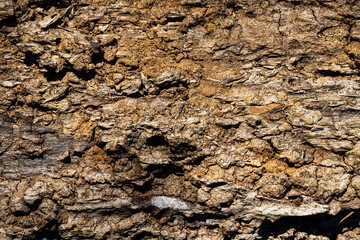 Wood abstract texture. Surface grunge backdrop. Dirty wooden effect pattern. Material background.