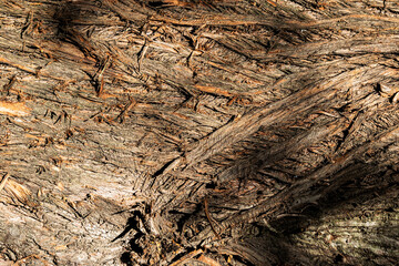 Wood abstract texture. Surface grunge backdrop. Dirty wooden effect pattern. Material background.