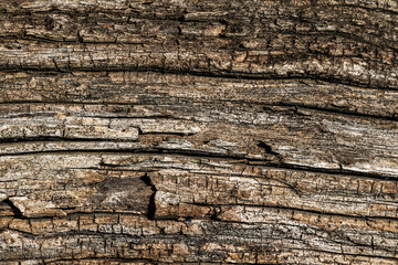 Wood abstract texture. Surface grunge backdrop. Dirty wooden effect pattern. Material background.