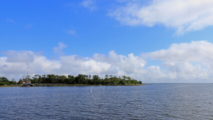 Marsh grasses and trees on the shore at Corolla, North Carolina