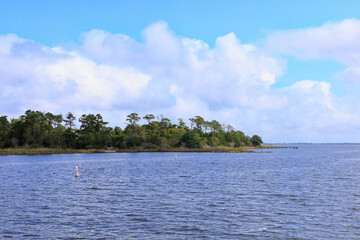 Marsh grasses and trees on the shore at Corolla, North Carolina