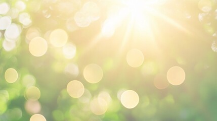 Fototapeta premium Soft Sunlight Bokeh Background Green Nature