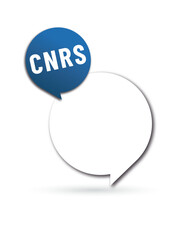 CNRS -
Centre national de la recherche scientifique
- Acronyme