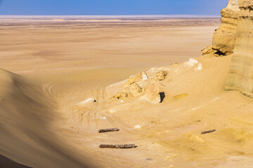 Wadi al Hitan, Faiyum, Egypt. Dead palm tree trunks in the desert at Wadi el-Hitan paleontological...