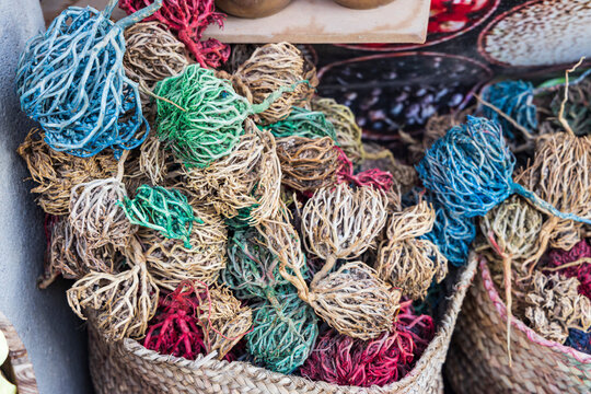 Luxor, Egypt. Dried colored Maryam Booti Anastatica flowers, at a market.