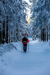 Romantische Winterwanderung auf den höchsten Gipfel vom Rennsteig - der Schneekopf bei Schmiedefeld im Abendlicht - Thüringen - Deutschland