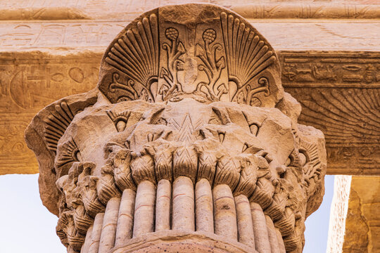 Fototapeta Agilkia Island, Aswan, Egypt. Capital of a column carved like a palm, at the Philae Temple, a UNESCO World Heritage Site.
