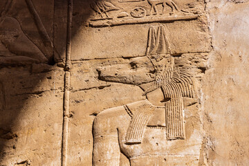 Edfu, Aswan, Egypt. Carving of the god Anubis in the Temple of Horus.