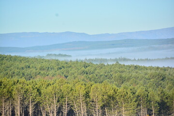 Villardeciervos , Zamora